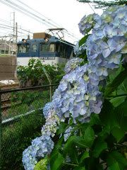 With The Blue Train