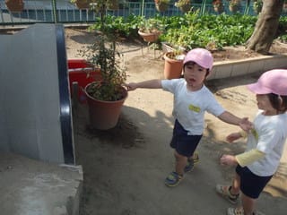 ぴんく ２歳児 かくれんぼ ボール遊び 紋切り練習 おおわだ保育園 子どもたちの様子