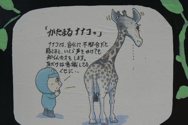 実在したキリンのナナコさん Nanaco 円山動物園 気ままなｚｏｏ