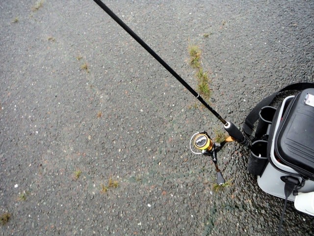 久しぶりにソアレbbでの釣り 気まま釣行記