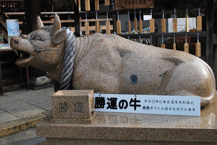 クリックすると大きな画像が表示されます width=