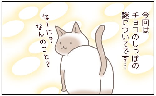 ネコごろね 第1話 何か出てるの チョコごろね ネコごろね 第1話 何か出てるの チョコごろね