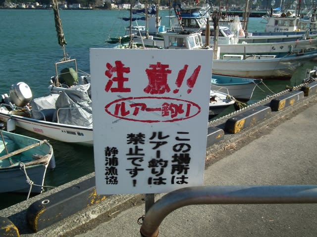 多比 たび 港 静岡県沼津市 のんびり釣りには おでかけたいむす