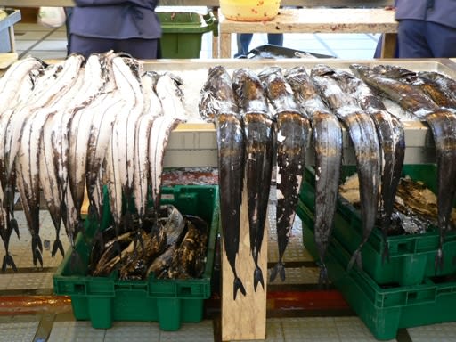 マデイラ旅行記 その３ マデイラ名物 黒太刀魚 イギリス生活 写真でつづる英国
