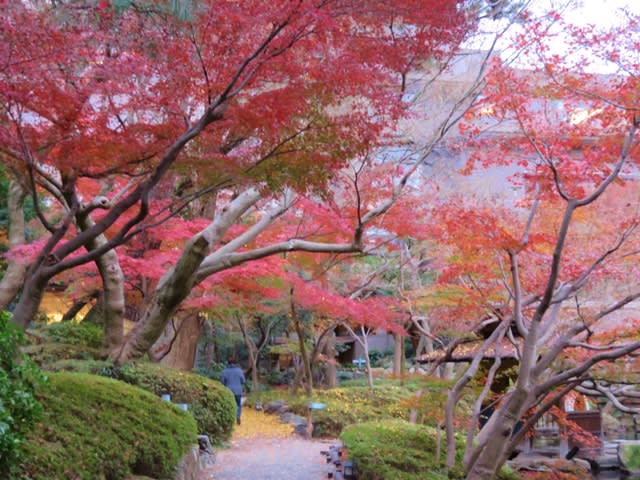 紅葉