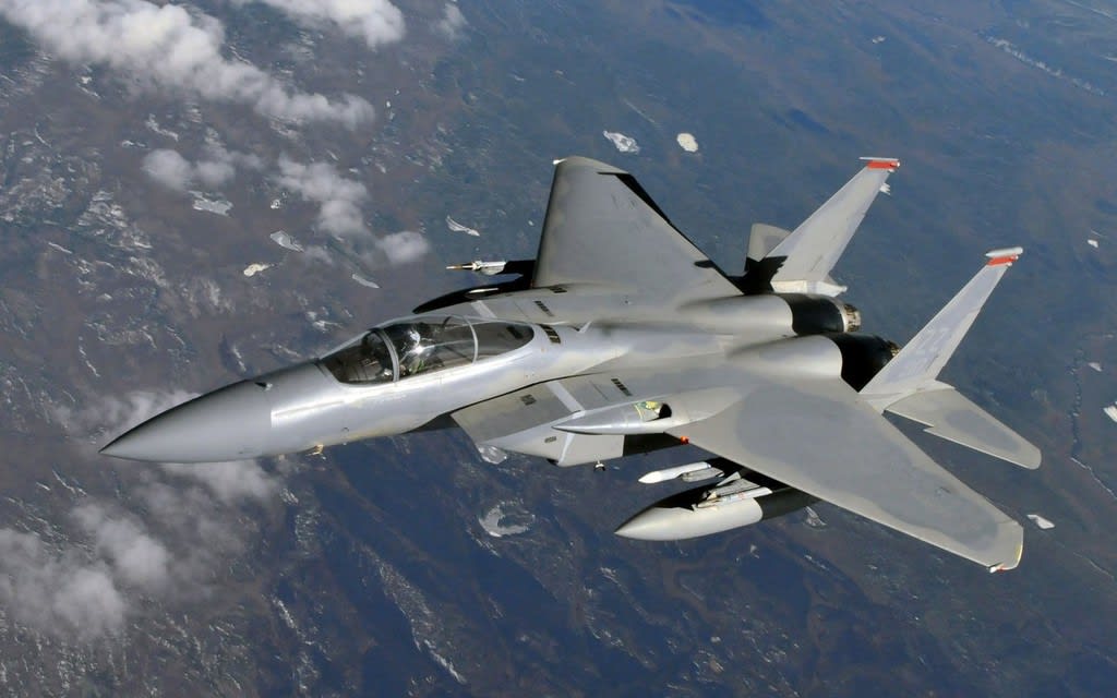 最終お値下げ済みWittyWings F15C USAF (USAF F-15C 最終お値下げ済みWittyWings F15C USAF (USAF F-15C