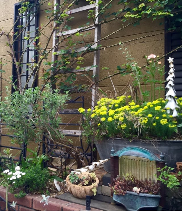 ジャンクガーデンは個性的 有機栽培 無農薬の庭づくり ガーデンカウンセラーたみこさんのブログ