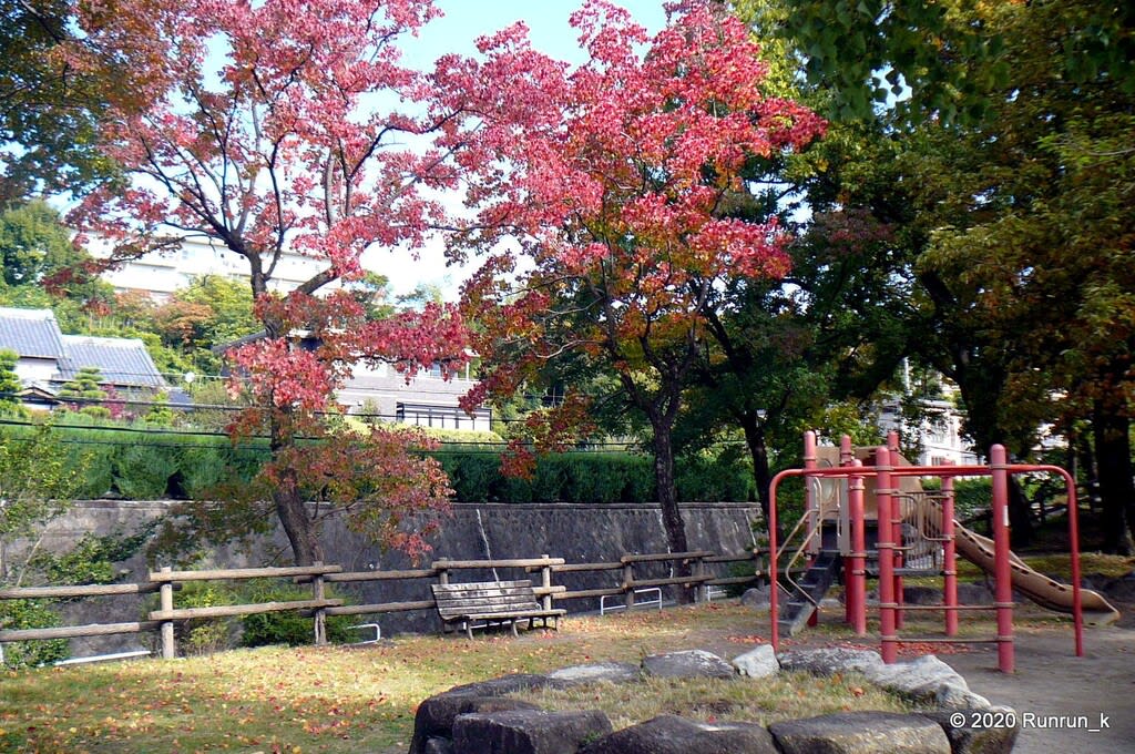 2020/11/10 散歩道