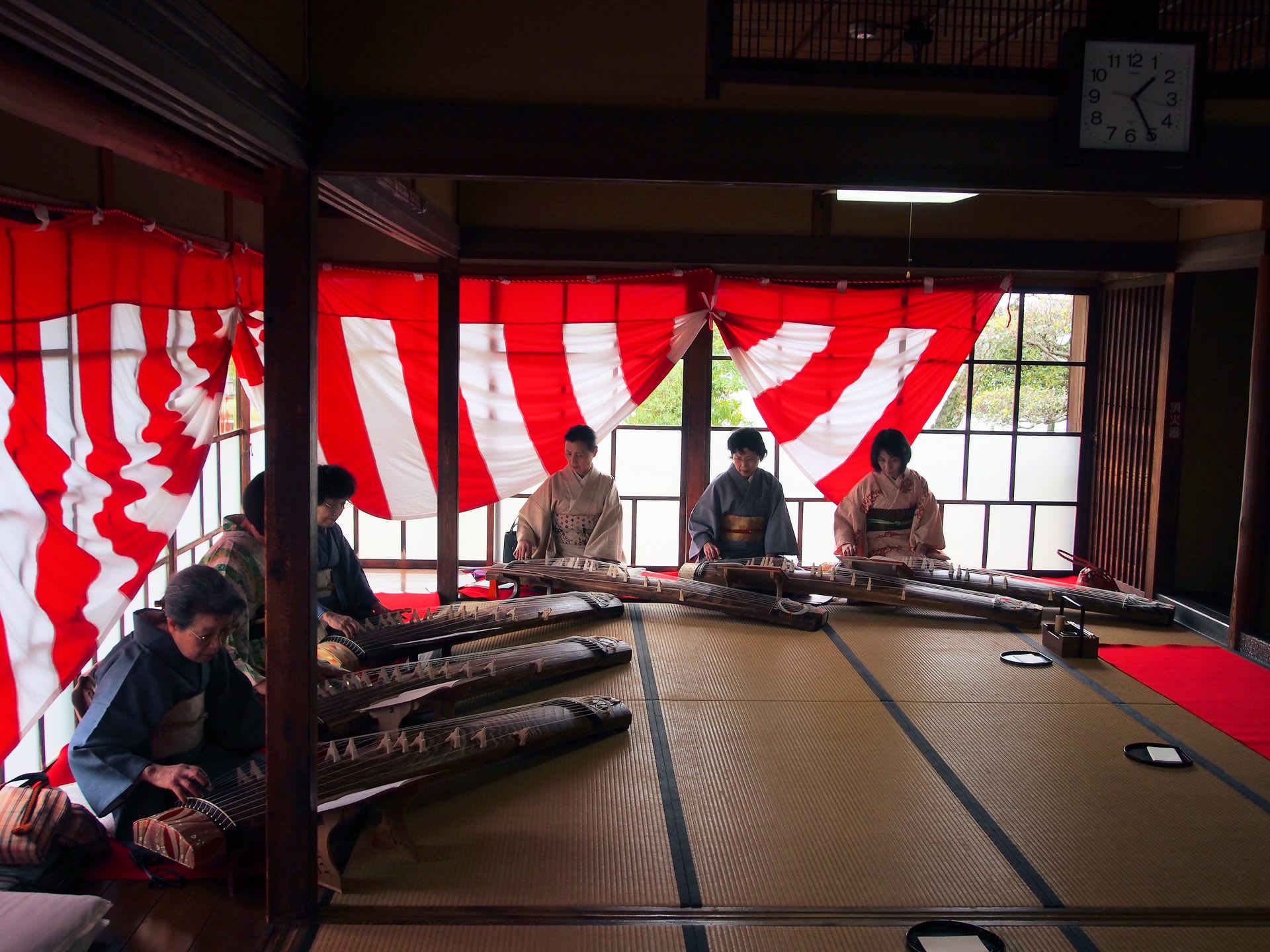 山野草会を覗く！の画像