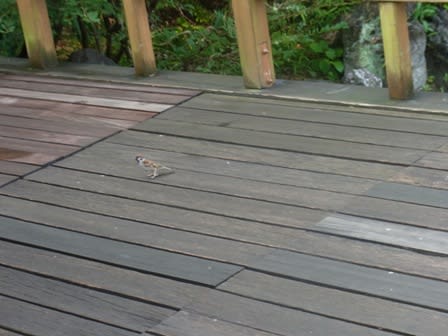 2012062623.jpg