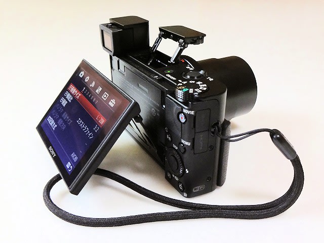 SONY - SONY Cyber-Shot DSC-RX100M3 美品 純正バッテリー付の+