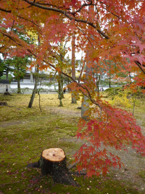 紅葉の京都・南禅寺編の画像