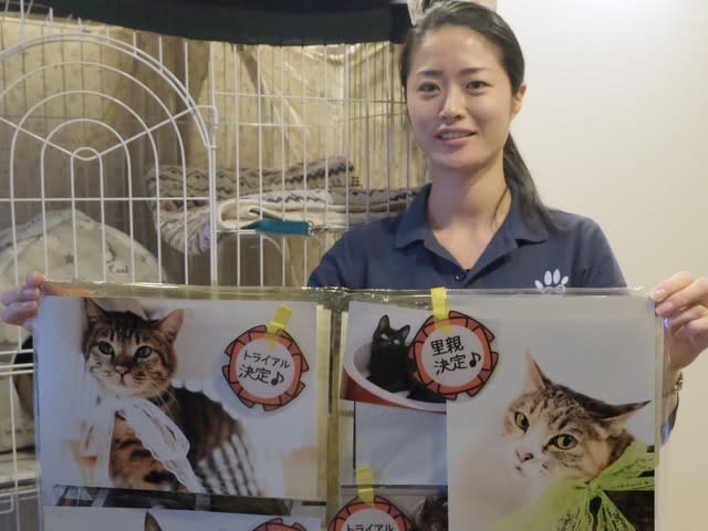 多頭飼育崩壊、犬猫を救助する動物福祉・大西結衣さんの想い - 動物 