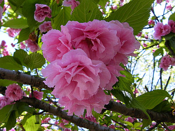 07 07