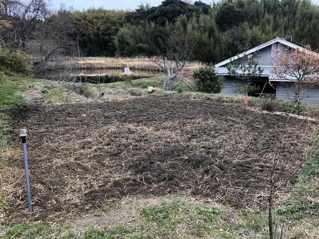 土壌改良を試みる 晴耕雨読で住まいを造ろう