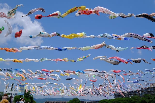 青空に千匹の鯉のぼりが泳いでいました はりさんの旅日記 青空に千匹の鯉のぼりが泳いでいました はりさんの旅日記