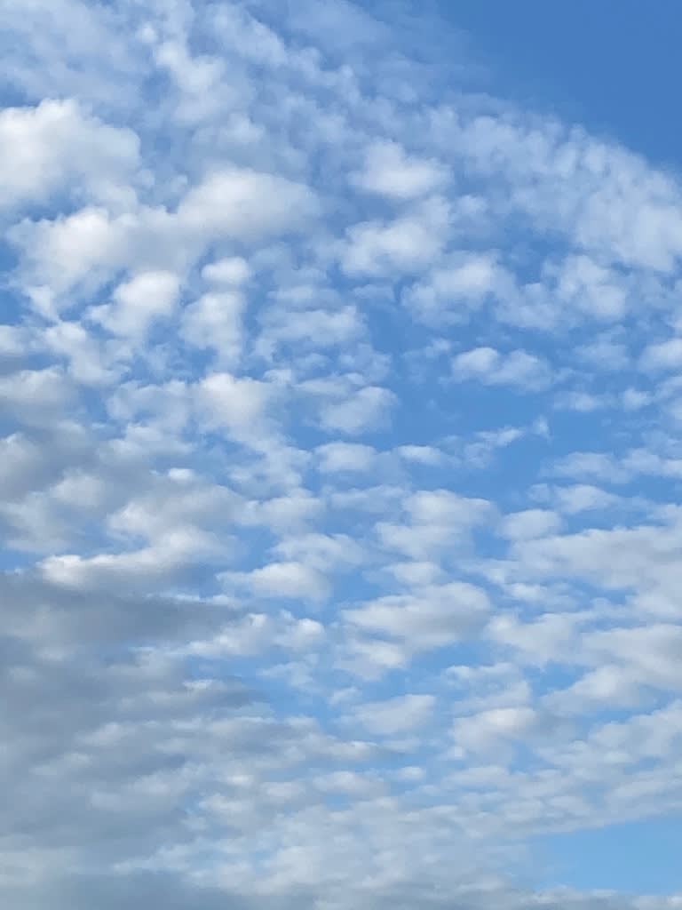 もくもく雲 Gooブログはじめました もくもく雲 Gooブログはじめました