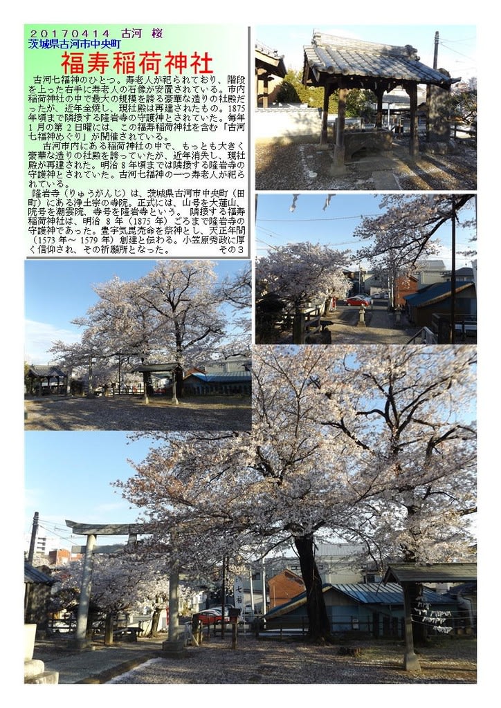 茨城 274 福寿稲荷神社 中年おじさんの散策part2 2 茨城 274 福寿稲荷神社 中年おじさんの散策part2 2