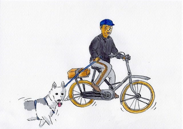 自転車で犬の散歩は危険 北海道のシニア人