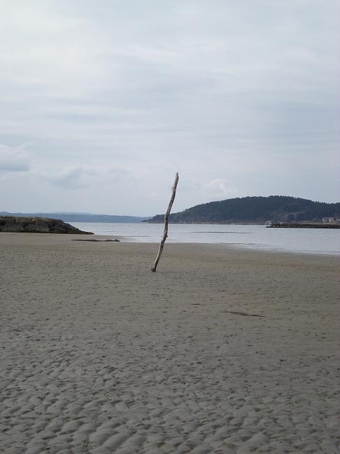 砂の文様に立ち尽くして Come Come Fantasy 色鉛筆 水彩イラスト 身近な風景写真