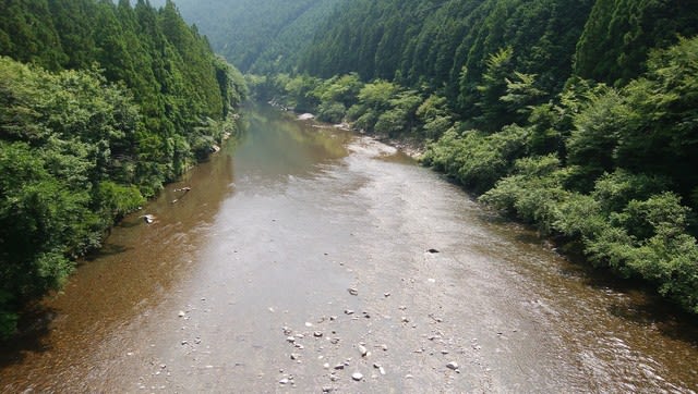 日置川上流鮎情報です 老鮎師の隠れ家日誌