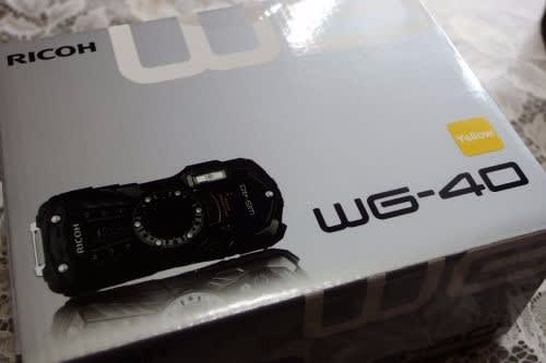 RICOH WG-40を買いました。北山通りと植物園で撮ってみました RICOH WG-40を買いました。北山通りと植物園で撮ってみました
