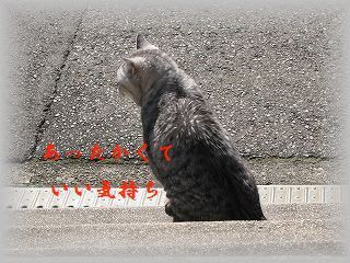 ポカポカ陽気に誘われて外へ