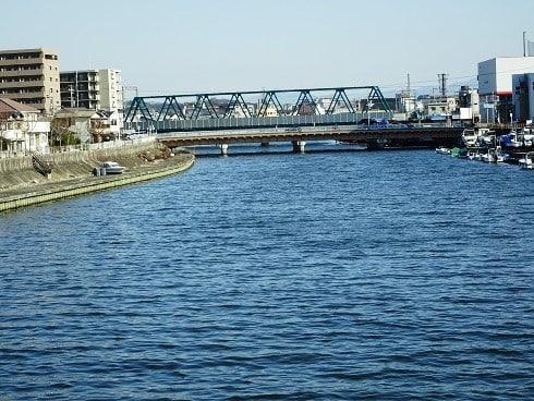 大阪臨海線沿い 石津川河口部 生物見遊散歩