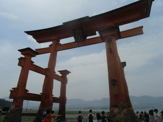 CIMG9755.jpg