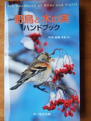 野鳥と木の実ハンドブック 樹樹日記