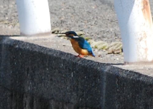 安定した場所で食事