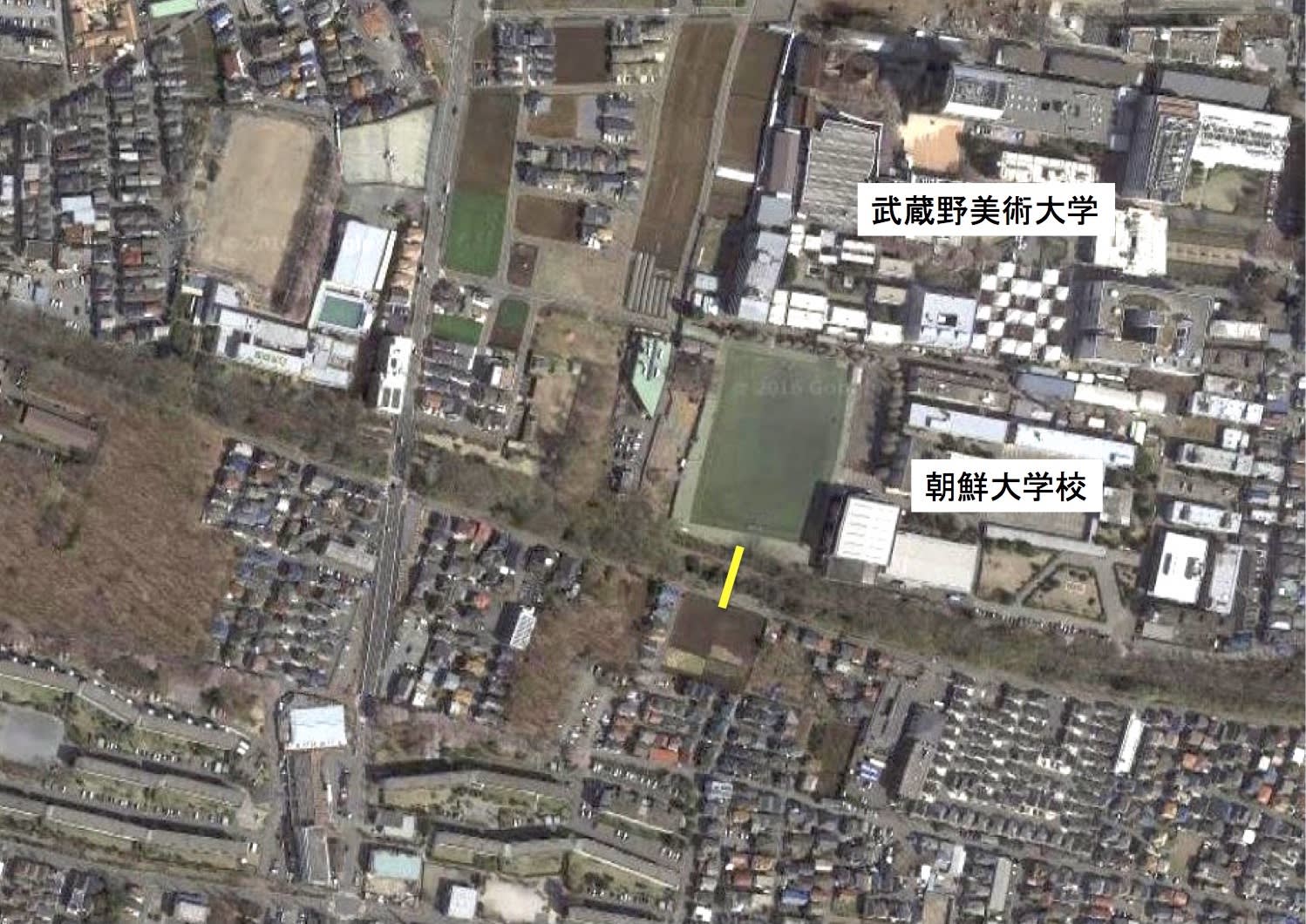 植生断面調査 - 玉川上水みどりといきもの会議 植生断面調査 - 玉川上水みどりといきもの会議
