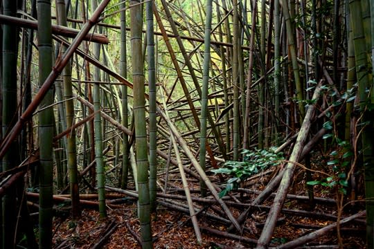 南部新道