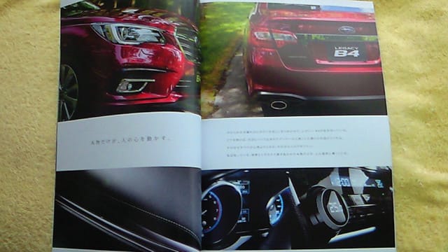 NEC_3032-1 (23).JPG