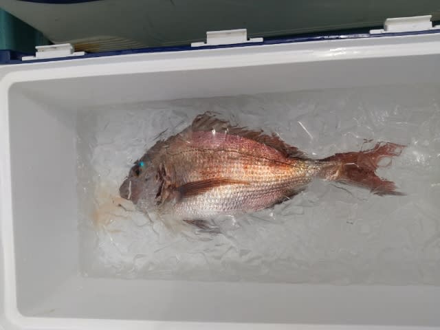 Hjfoljnfpefdgm Hjfoljnfpefdgm