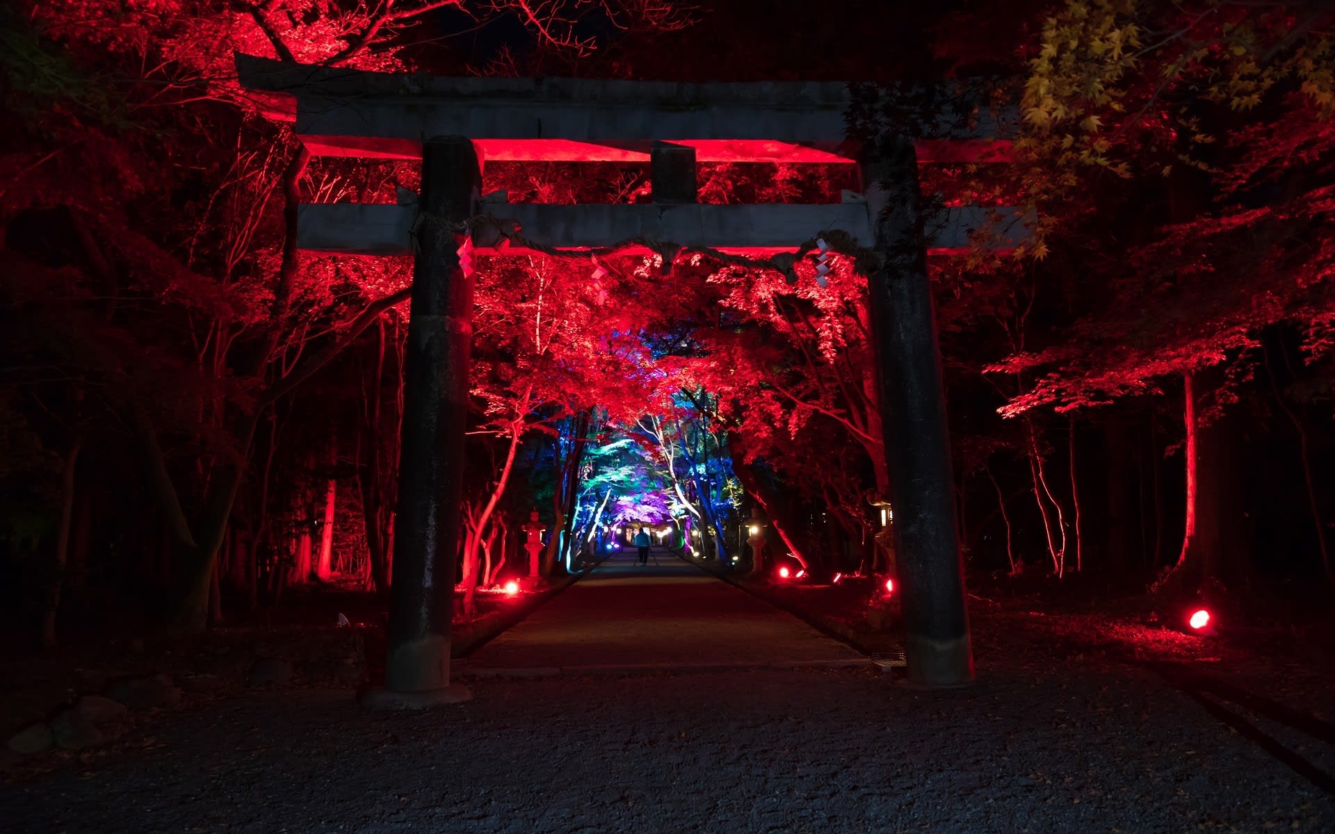 18年紅葉の京都 大原野神社ライトアップの壁紙 計28枚 壁紙 日々駄文