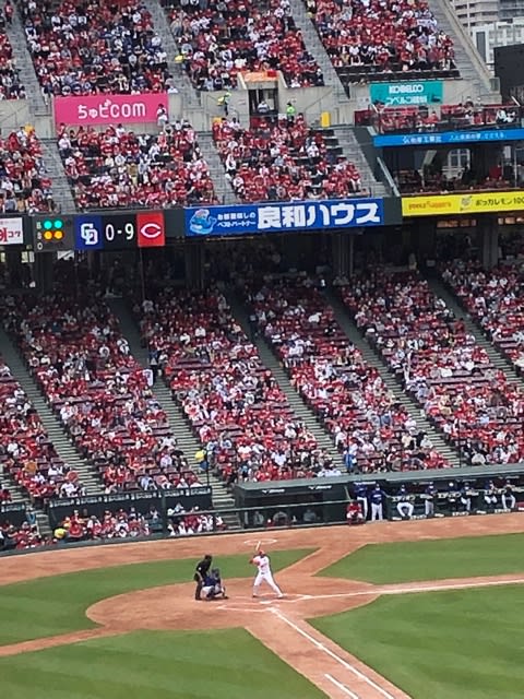 カープ １０ １で中日に連勝 森下 ナイスピッチング 野間４安打 西川 磯村がホームラン 能率技師のメモ帳 中小企業診断士 社会保険労務士のワクワク広島ライフ