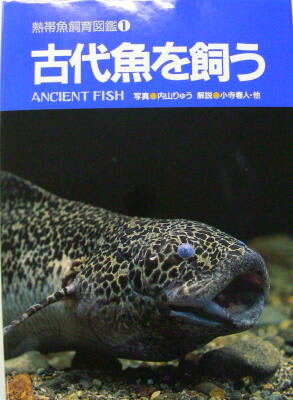 古代魚を飼う アクアウィズのオススメ 熱帯魚