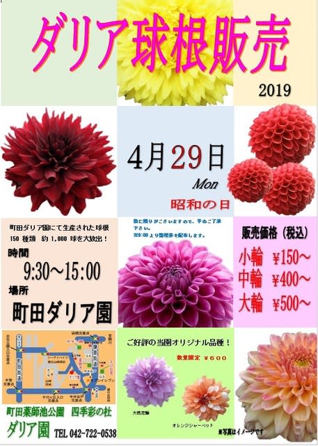 4月29日 月 は球根販売を開催します ようこそ 町田ダリア園のブログです