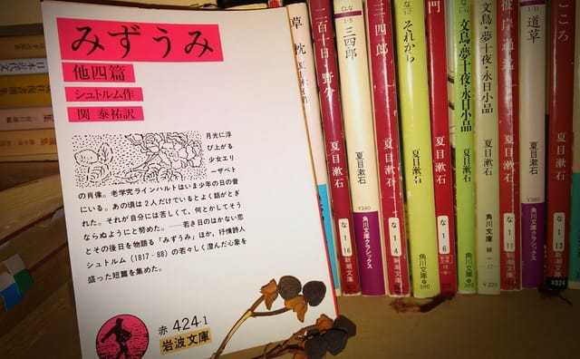 文学にまつわるあれこれ（漱石と猫の篭）」のブログ記事一覧-星のひとかけ