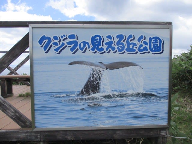 クジラの見える丘公園 五色の風