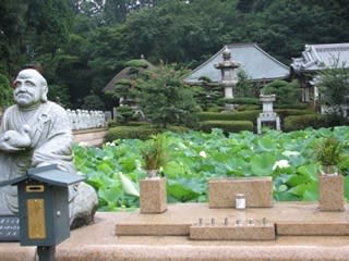 興禅寺の蓮