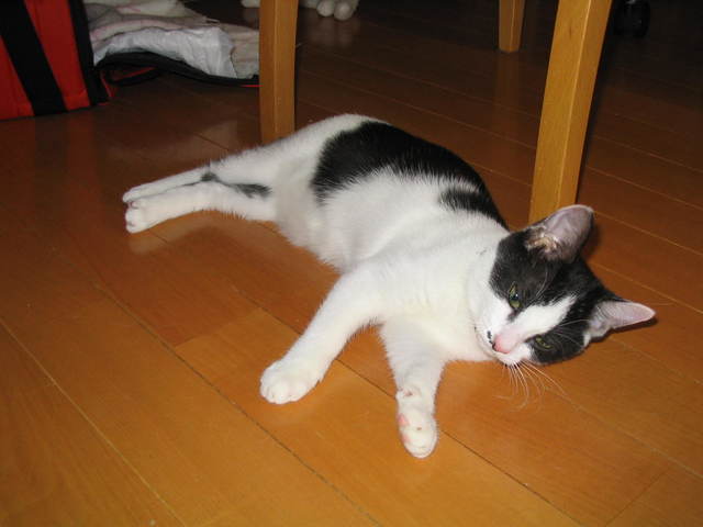イメージ 3