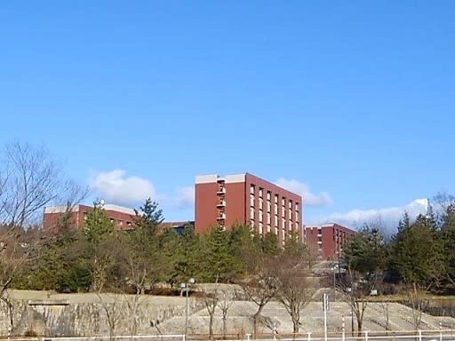 雪のない金沢の冬 金沢大はどこに行く 金沢暮らしの日々 努力は時々 報われる 雪のない金沢の冬 金沢大はどこに行く 金沢暮らしの日々 努力は時々 報われる