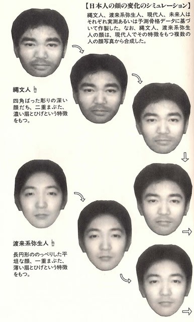 日本人の未来の顔の変化 品川区大井町愛d歯科 矯正歯科 抜かない 削らない 神経を残すや顔や口の健康美容を目指します