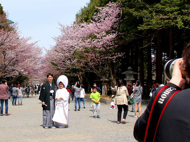 北海道神宮で結婚式 ちっちゃな夢