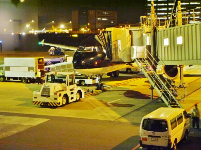 羽田空港から北九州へ ちわわ一家の 食べ歩る記 飲み歩る記