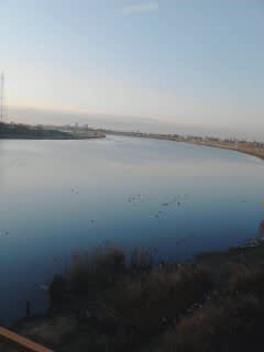 朝の江戸川