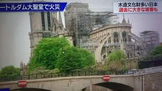 ノートルダム大聖堂のバラ窓 Saoの猫日和 ノートルダム大聖堂のバラ窓 Saoの猫日和