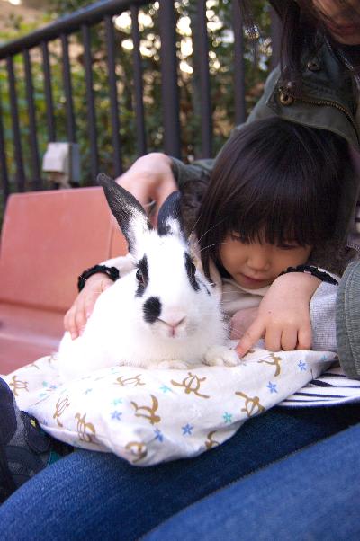 ウサギさん抱っこ